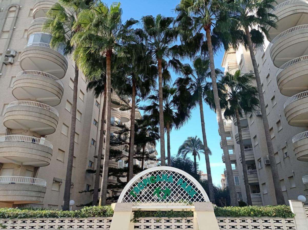 גאנדיה Tropicana Park Solo Familias Serviplaya מראה חיצוני תמונה